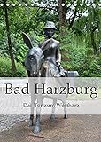 Bad Harzburg. Das Tor zum Westharz (Tischkalender 2022 DIN A5 hoch)