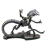 Alien Queen Q-Fig Max Elite, 15,2