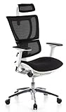 hjh OFFICE 652805 Profi Bürostuhl ERGOHUMAN Slim Stoff/Netz Schwarz/Weiß Rückenlehne verstellbar, Lordosenstütze, ergonomisch g