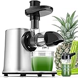 Slow Juicer Entsafter Gemüse und Obst mit 2 Geschwindigkeit & Umkehrfunktion & Saftkanne & Reinigungsbürste (MEHRWEG)