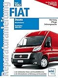 Fiat Ducato Typ 250 2,2l, 2,3l 3,0l Dieselmotoren: Baujahr von 2006-2014 (Reparaturanleitungen)