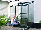 Gartenwelt Riegelsberger Anlehngewächshaus Ida - Ausführung: 1300 HKP 4 mm dunkelgrün, Fläche: ca. 1,3 m², mit 1 Dachfenster, Sockelmaß: 0,65 x 1,92