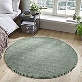 Designer-Teppich Pastell Kollektion | Flauschige Flachflor Teppiche fürs Wohnzimmer, Esszimmer, Schlafzimmer oder Kinderzimmer | Einfarbig, Schadstoffgeprüft (Mint Grün, 150 cm rund)