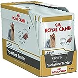 Royal Canin Nassfutter für ausgewachsene Yorkshire Terrier, 24 Packungen à 85 g, ideal für Terrier, ausgewachsene Hunde ab 10 Monaten, 6 cm Trixie Gummiball Spielzeug mit Wurfg