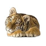 GRAZDesign Wandsticker Deko Aufkleber Raubkatze, Wandtattoo Süßer Tiger liegend, Home Dekoration modern Afrika Dschungel Baby Tiger / 60x50