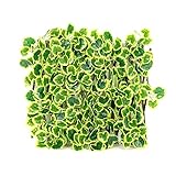 Mengmengda Gartenzaun Sichtschutz für Balkon Terrasse Outdoor Deko Efeu Zaunblende Kunsthecken Zaunb