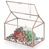 SUMTree Rotgoldenes Glas-Terrarium für Pflanzen, geometrisches Pflanzen-Terrarium mit Schwingdeckel, Luftpflanzen-Schaukasten für Blumen, Sukk