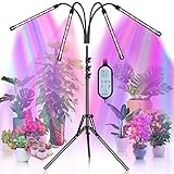 KEAWEO Pflanzenlampe LED, Pflanzenlicht mit Stände, 40W Pflanzenleuchte, Grow Lamp Tripod einstellbar, 4 Heads 80 LEDs Wachsen licht, Vollspektrum Wachstumslampe für Zimmerpflanzen mit Z