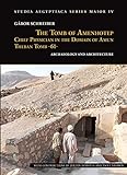 The Tomb of Amenhotep, Chief Physician in the Domain of Amun Theban Tomb -61-: Archaeology and Architecture (Studia Aegyptiaca Series Maior, Band 4)