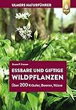 Essbare und giftige Wildpflanzen: Über 200 Kräuter, Beeren, Nü