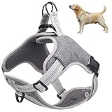 Cooyes Hundegeschirr Hunde Anti Zug Geschirr, No pull, verstellbar, gepolstert, für Hunde und Katzen, mit Glöck