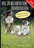 Die 20 beliebtesten Hunderassen: Welcher Hund passt zu mir?