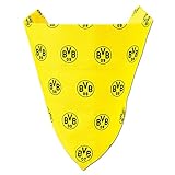 Borussia Dortmund BVB-H