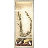 REPITERRA Terrarium für Reptilien & Amphibien, Hochterrarium, Holzterrarium mit Seitenbelüftung 60x120x60