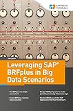 Leveraging SAP BRFplus in Big Data Scenarios (English Edition)