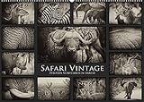 Safari Vintage (Wandkalender 2022 DIN A2 quer)