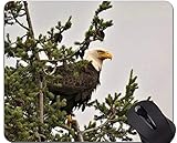 Mausunterlage mit Rastkante, amerikanische Weißkopfseeadler-Thema-Büro-Mausunterlag