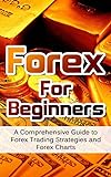 Forex For Beginners: A Comprehensive Guide to Forex Trading Strategies and Forex Charts (Forex Analysis Series for Beginners) (Forex Strategy, Forex Trading ... Forex Exchange, Forex) (English Edition)