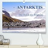 Antarktis - Das Reich der Pinguine CH-Version (Premium, hochwertiger DIN A2 Wandkalender 2022, Kunstdruck in Hochglanz)