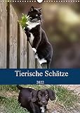 Tierische Schätze (Wandkalender 2022 DIN A3 hoch)