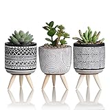 TERESA'S COLLECTIONS Künstliche Sukkulenten Pflanzen mit Töpfen 3er Set 16.5cm Übertöpfe Pflanztopf mit Holzbeinen in Böhmen Stil und Muster Zement Tischdeko Balkon Büro Deko für Wohnzimmer Kü