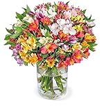 33 Inkalilien (Alstroemerie), 200 Blüten, Schnittblumen, farbenfrohe Auswahl, 7-Tage-Frischegarantie, perfekte Geschenkidee, versandkostenfrei b