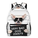 SXCVD Lässiger Rucksack,Bild der englischen Bulldogge,Business Laptop Rucksack Schultasche,Wanderreise Tagesrucksack für Herren,Damen,Teenag