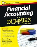 Financial Accounting For Dummies: UK E