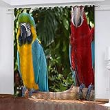 TTBBBB Blickdicht Vorhang Für Schlafzimmer Tier Farbe Papagei B 264 x H 242 cm 3D Druckmuster Öse Thermisch isoliert 90% Blickdicht Vorhang für Kinder Jungen Mädchen Sp