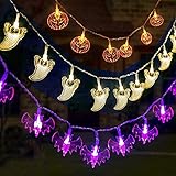 WEIJ Lichterkette 20 LED Weiß Schädel Lampion Lichterkette mit Batteriebetrieben, 2 Modi für Außen Innen, Garten, Halloween Party Dek