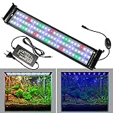Lueigmo 31W Aquarium LED Beleuchtung, RGB Spectrum Aquarium Lampe für 90-115cm Wasserpflanzen und Süßwasser-Aquarien, Dimmb