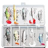 DONQL Weiches Angelköder-Set, Angelköder, Köder, Angelköder, Angel-Set für Süßwasser, Forellen, Barsch, Lachs, inkl. lebhaften Spinnerködern, künstliche Silikonbarschköder mit Box (10 Stück)
