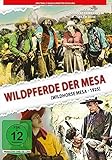 Wildpferde der Mesa (Kolorierte Fassung)