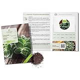 Bio Oregano Samen - Küchenkräuter Saatgut aus biologischem Anbau ideal für den heimischen Kräutergarten, Balkon & G