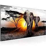 Wandbilder Afrika Elefant 1 Teilig Modern Vlies Leinwand Wohnzimmer Flur Panorama Grau Orange 007612
