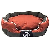 Aquagart Premium Hundekissen kleine Hunde waschbar I Hundebetten für kleine Hunde und Katzen I Katzenbett robust I Hundesofa rutschfest I Größe: M 60 x 50 x 25cm I orange (M, Orange)