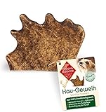 ChronoBalance® Natürliches Kaugeweih S für Hunde, Damhirsch-Geweih, Abwurfstange, aus Deutschland, Zahnpflege, Kausnack, Kauspielzeug, Mineralstoffe und N