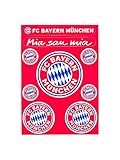 FC Bayern München Aufkleberkarte Log