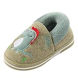 Hausschuhe Kinder Junge Pantoffeln Hüttenschuhe Mädchen Winterhausschuhe Kinderschuhe Indoor Baumwollschuhe Winter Warme Gefüttert Hausschuh Cartoon Dinosaurier Plü
