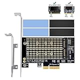 Dual M.2 PCIe-Adapter mit Kühlkörper, 6amLifestyle M2 NGFF-SSD und NVME-SSD zu PCI-e 3.0 x4-Hostcontroller-Erweiterungskartenunterstützung M.2 M Key SSD 2280 2260 2242 2230 mit Low Profile Brack