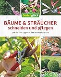 Bäume und Sträucher schneiden und pflegen: Die besten Tipps fü
