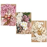 QINREN Echte getrocknete gepresste Blumen und Blätter, 3 Sätze natürliche getrocknete Blumen Gemischte künstliche ewige Blumen DIY Kunsthandwerk für die Herstellung von Lesezeichen Harzschmuck