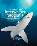 Die Kunst der Unterwasserfotografie: Wunderwelten des Meeres perfekt aufs Foto geb