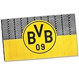BVB 09 Borussia Dortmund Hissfahne 'Borussia Dortmund' 250x150