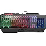 Gaming Tastatur, Rii PC Tastatur PS4 Gaming Tastatur USB Regenbogen beleuchtete Tastatur, 19 Anti-Ghosting, Gaming Keyboard Für PC/Laptop/PS4/Xbox One (Deutsches Layout)