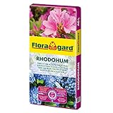 Floragard Rhodohum 40 L • Spezialerde • für Rohododendron, Azaleen, Blaubeeren und andere Moorbeetpflanzen • zur Bodenverbesserung • mit dem Naturdünger G