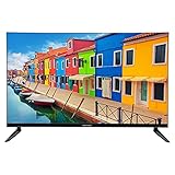 MEDION E13211 80 cm (31,5 Zoll) HD Fernseher (HD Triple Tuner, DVB-T2 HD, CI+, Mediaplayer, 3 x HDMI, SCART, VGA, USB)