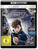 Phantastische Tierwesen und wo sie zu finden sind (4K Ultra HD + 2D-Blu-ray) (2-Disc Version) [Blu-ray]