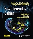 Faszinierendes Gehirn: Eine bebilderte Reise in die Welt der N