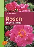 Rosen pflegen und schneiden (Garten-Ratgeber)
